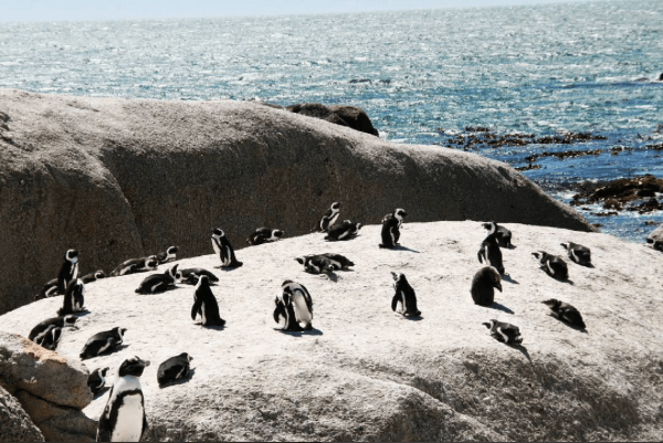 boulders beach
