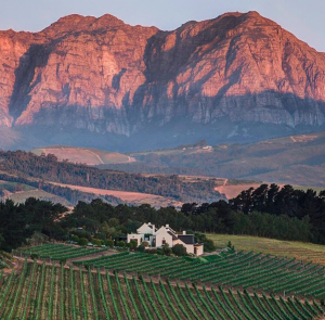 cape town