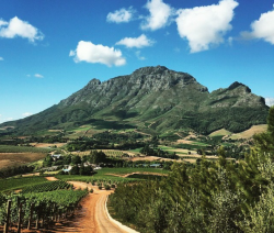 winelands