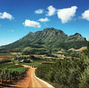 winelands