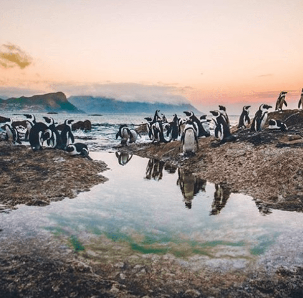 boulders beach