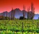 winelands