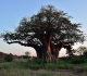 sudafrica