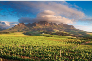 cape town