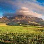 orientarsi cape town