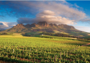 orientarsi cape town