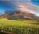 orientarsi cape town