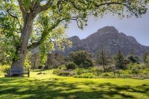 Kirstenbosch Gardens