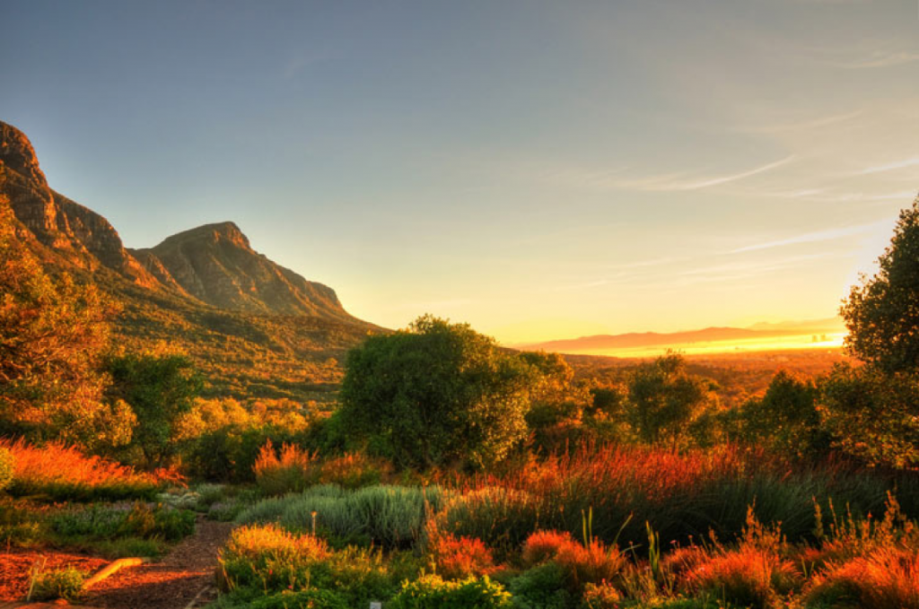 15 luoghi imperdibili del Sudafrica, da Cape Town lungo la Garden Route