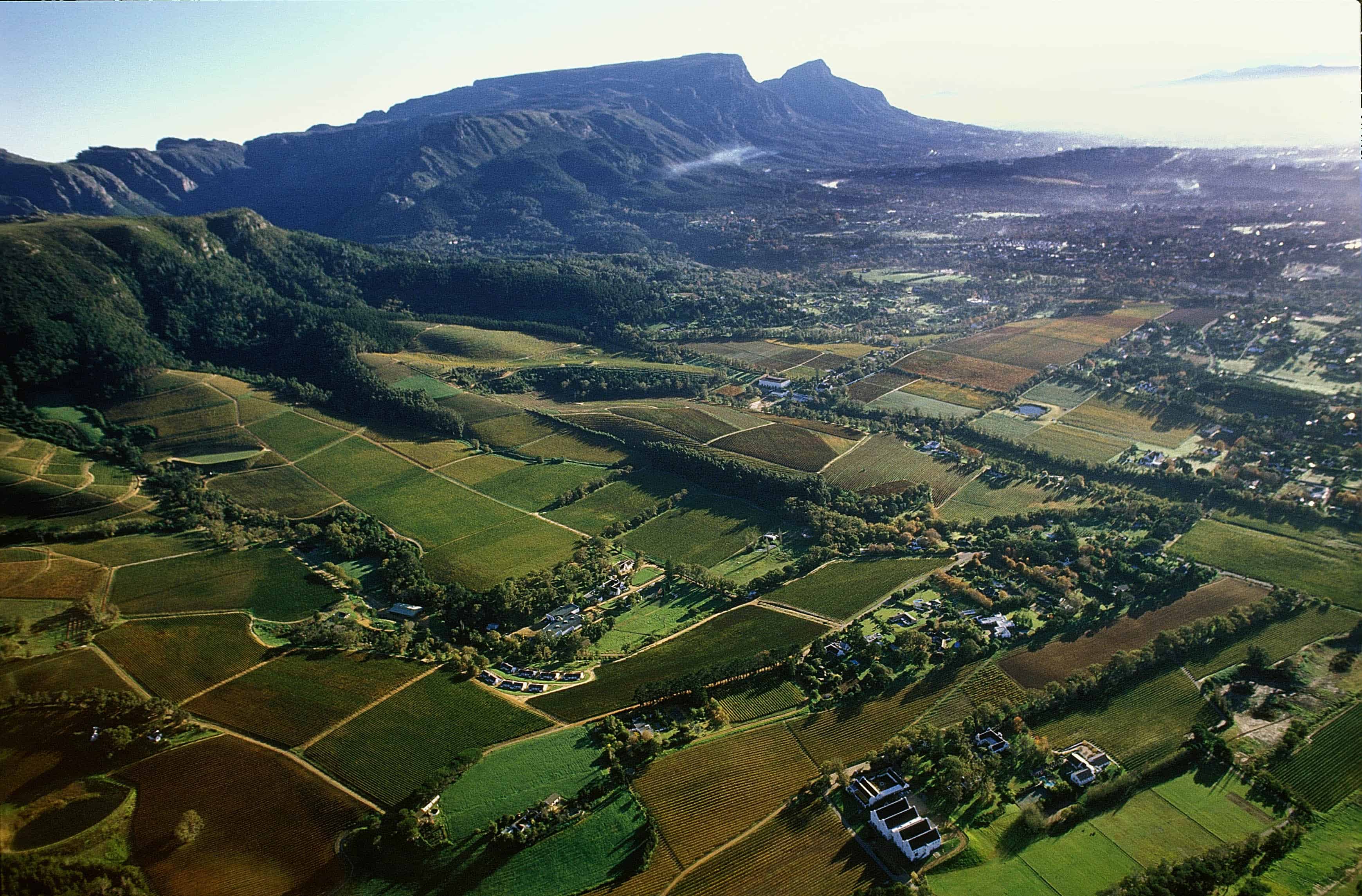 constantia