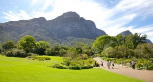 kirstenbosch gardens