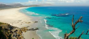 spiagge di cape town