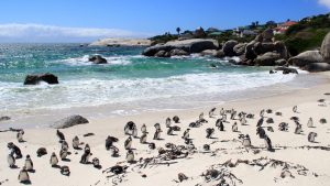 10 spiagge da non perdere