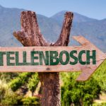 che cosa fare a Stellenbosch