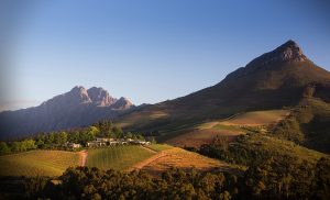 3 aziende vinicole da non perdere a Stellenbosch