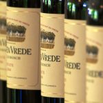 3 aziende vinicole da non perdere a Stellenbosch