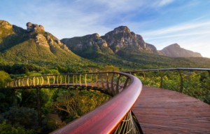 Escursione nella Foresta di Newlands