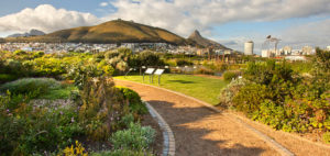 Green Point Urban Park