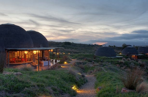 safari Cape Town