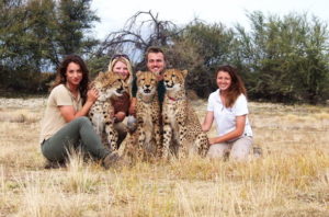 safari Cape Town