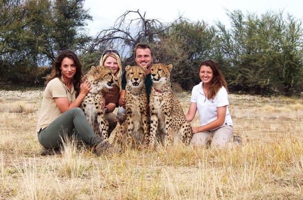 safari Cape Town