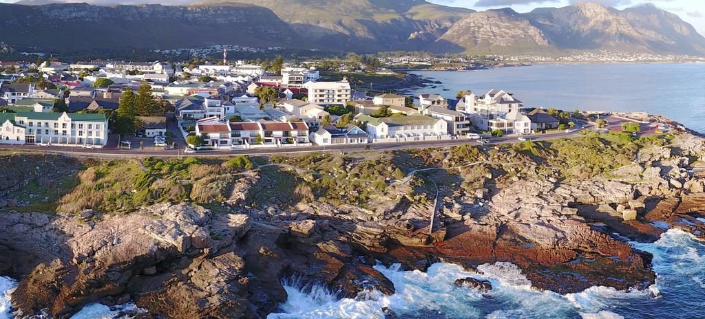 Avvistare balene a Hermanus