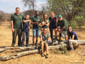 Fare volontariato con gli animali in Sudafrica