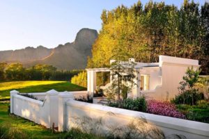 consigli wine farm Cape Town