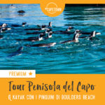 Boulders Beach kayak pinguini