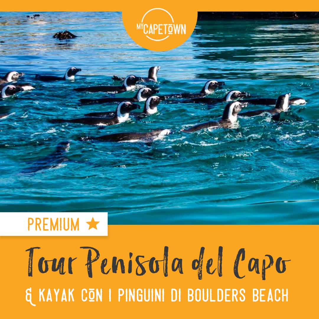 Boulders Beach kayak pinguini