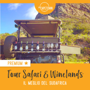 Tour Winelands Cape Town