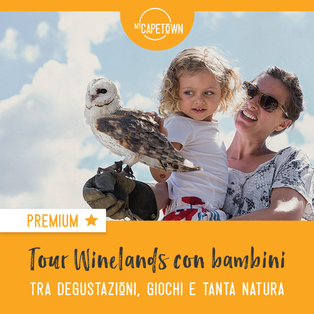 Winelands con bambini