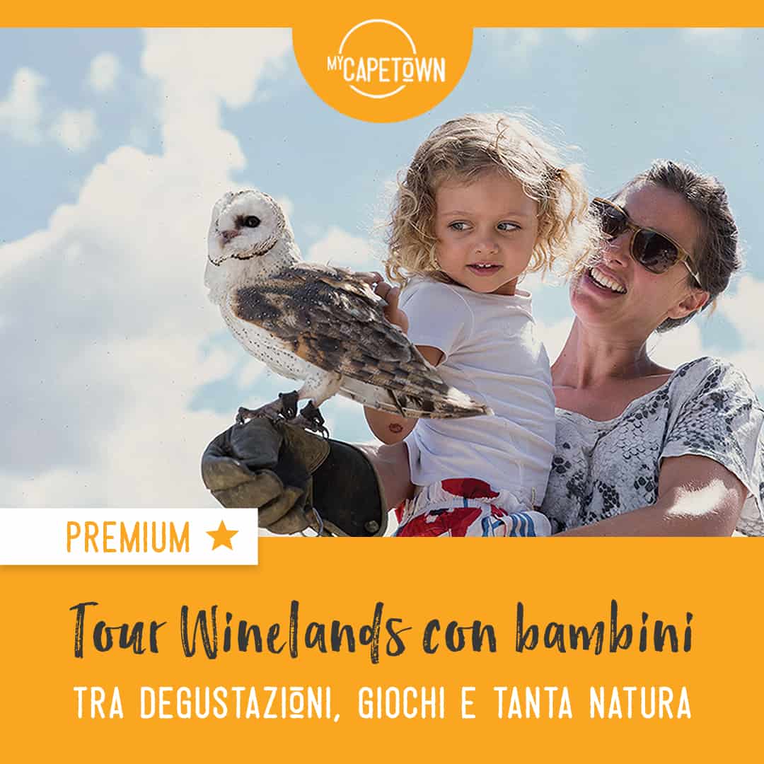Winelands con bambini
