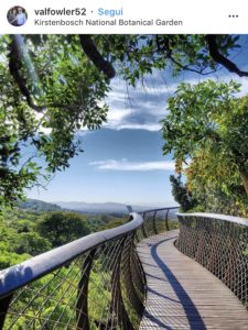 I 15 luoghi più instagrammabili di Cape Town