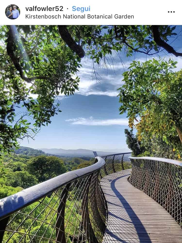 I 15 luoghi più instagrammabili di Cape Town 