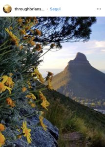 I 15 luoghi più instagrammabili di Cape Town
