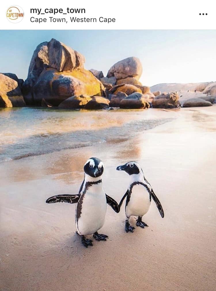 I 15 luoghi più instagrammabili di Cape Town 