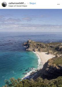 I 15 luoghi più instagrammabili di Cape Town