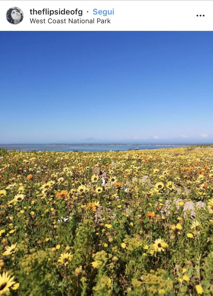 I 15 luoghi più instagrammabili di Cape Town