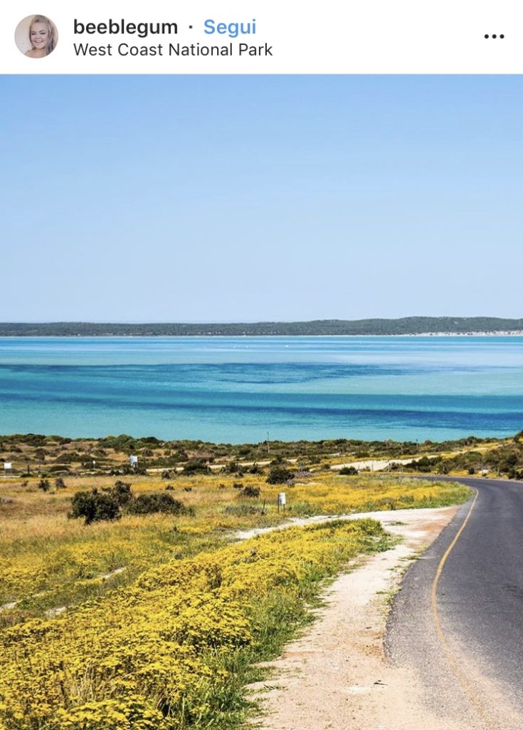 I 15 luoghi più instagrammabili di Cape Town