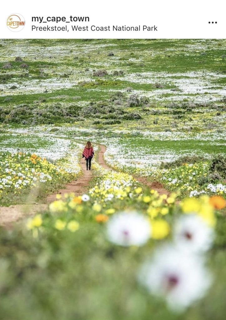 I 15 luoghi più instagrammabili di Cape Town