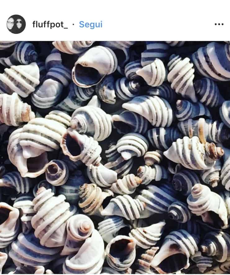 I 15 luoghi più instagrammabili di Cape Town