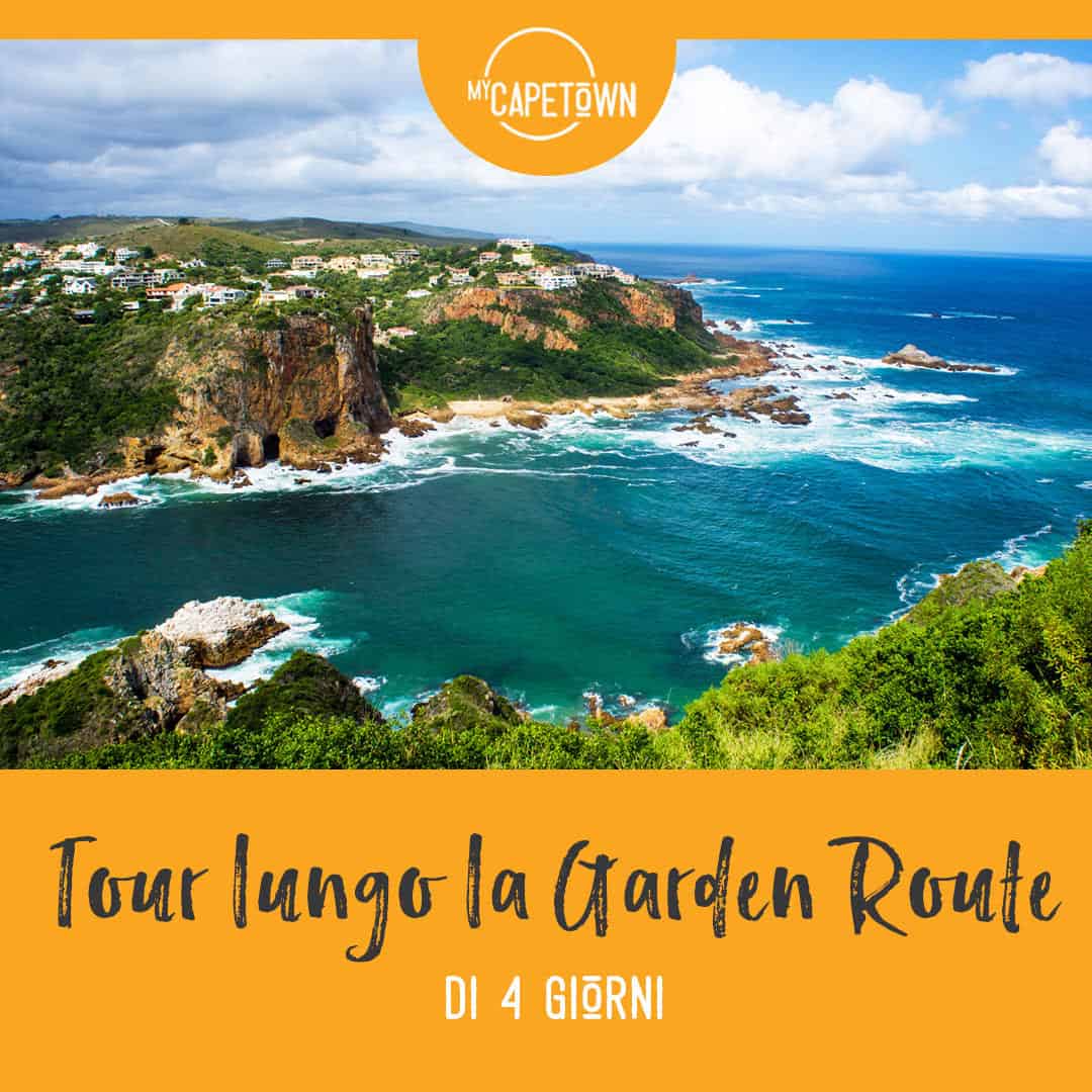 Itinerario lungo la Garden Route in Sudafrica: da Cape Town a Port Elizabeth.