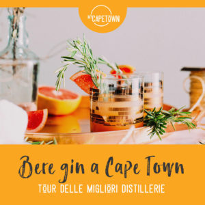 Dove bere gin Cape Town