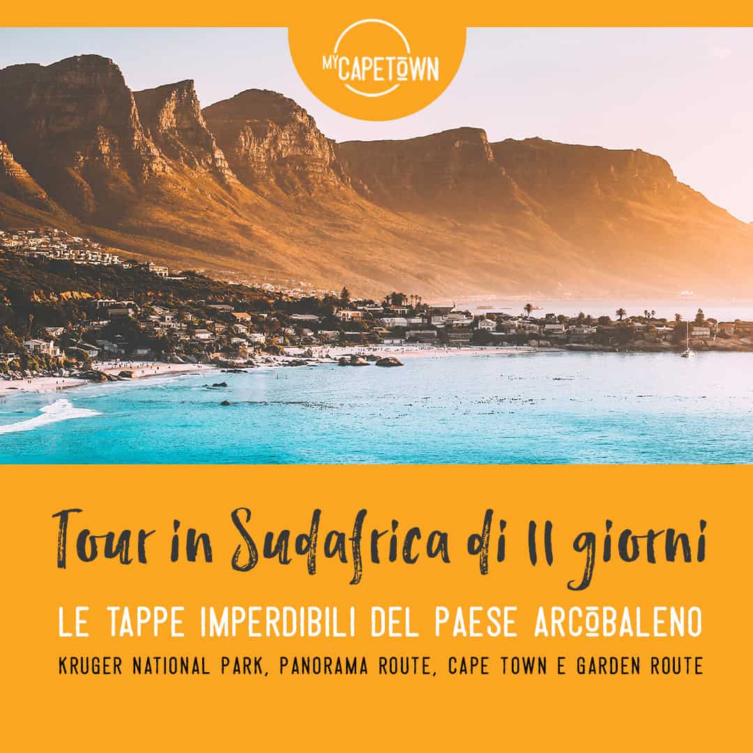 Che cosa vedere in Sudafrica