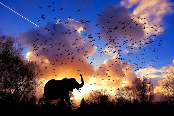 Organizzare viaggio in Sudafrica