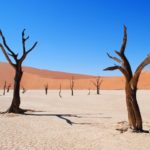 Deadvlei Namibia viaggio