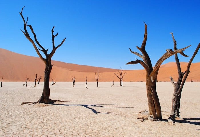 Deadvlei Namibia viaggio
