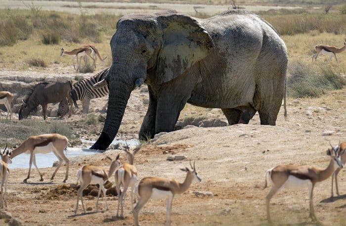 Viaggio in Namibia itinerario
