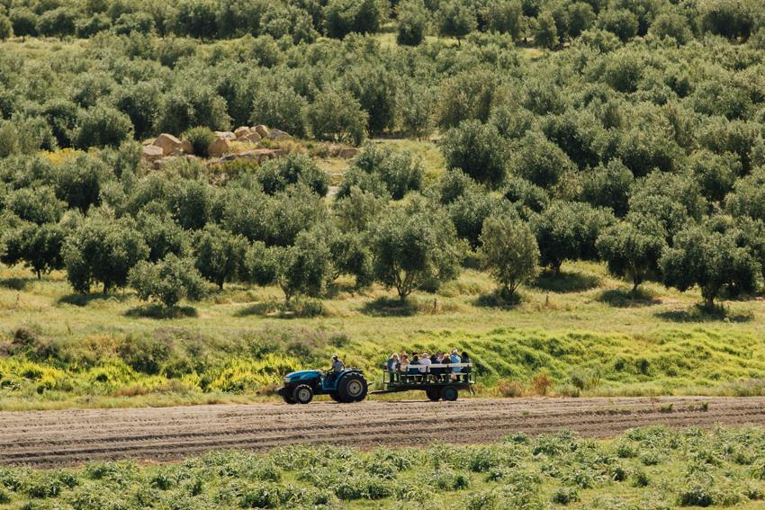Ayama Farm Sudafrica